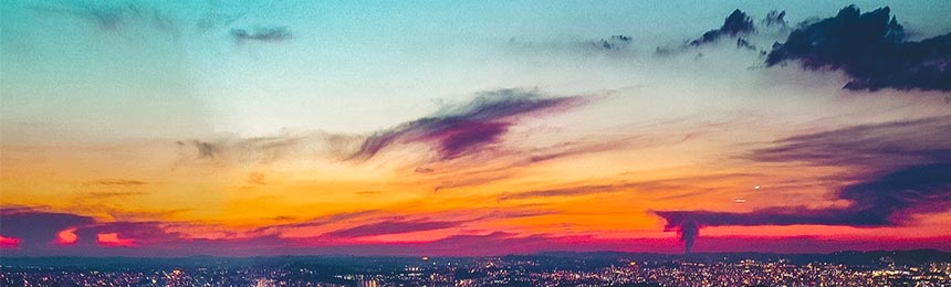 义乌茶虫网_义乌品茶